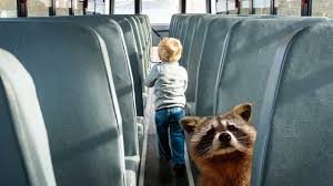 racoon on the bus